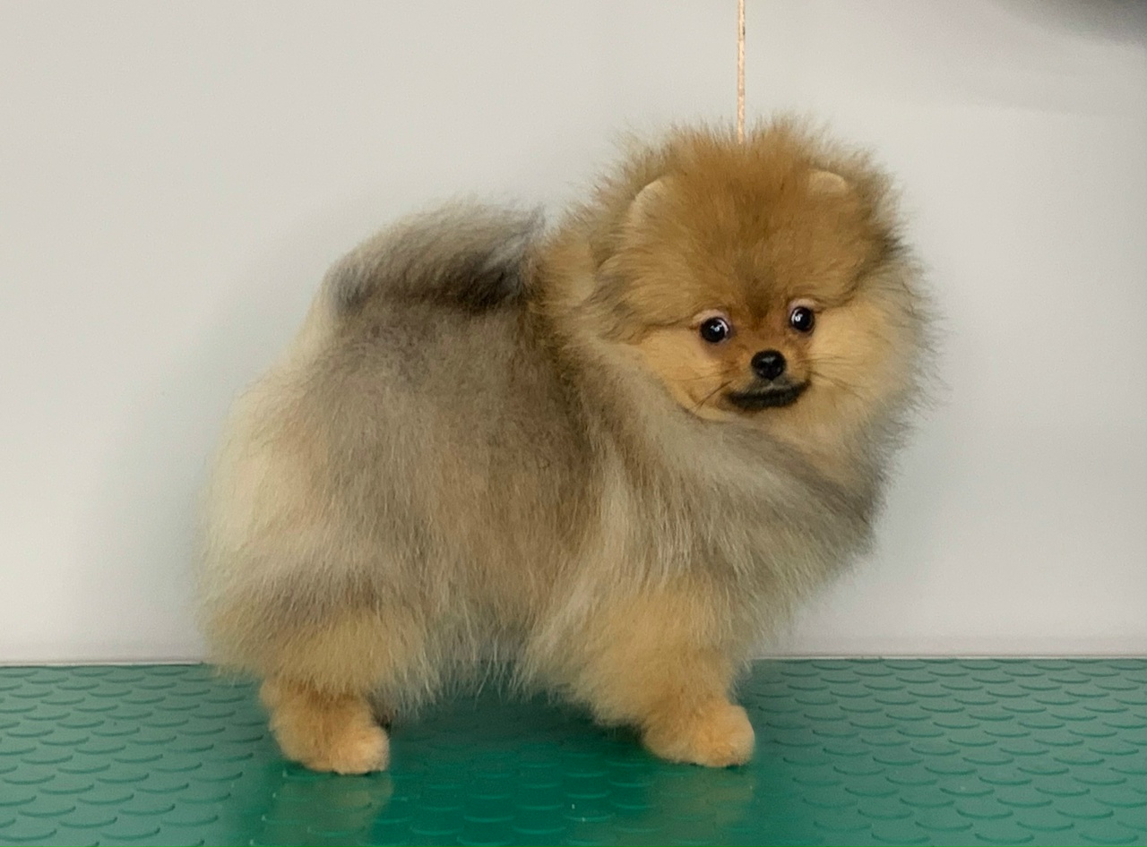 eM_mxSAmbzk1mKVwXitef1axOQrN9kjXZZGleaDKNdZPSlga-sRMDWsG5cpm74t0Ge-9RM0wiaIBwlVsLtTXL7qL