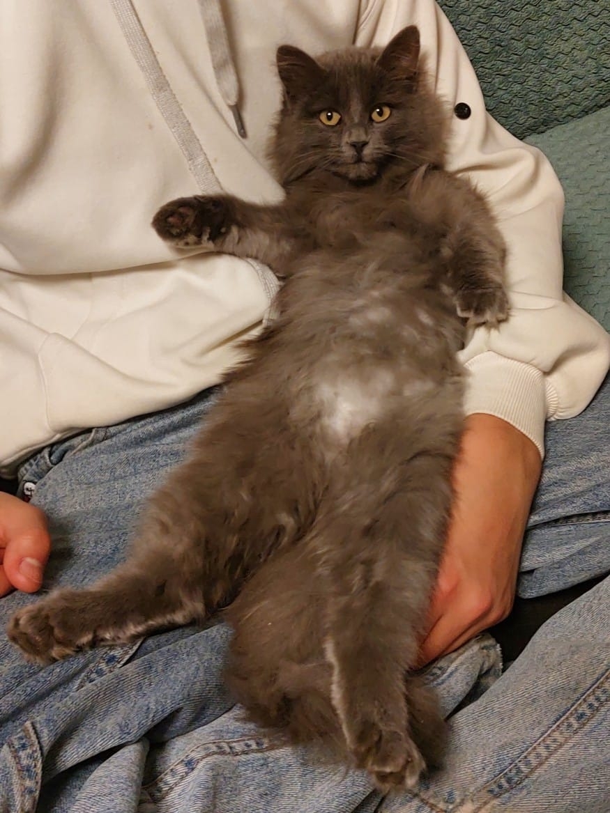 ePkcgG2GmCTz_1pFKfr2wgSkUfU15ZdXr4e2G-Ny-0afY_mGrB_lI0rUoxjejS6LPiPSD_9-StUiWwi7c67skH1T