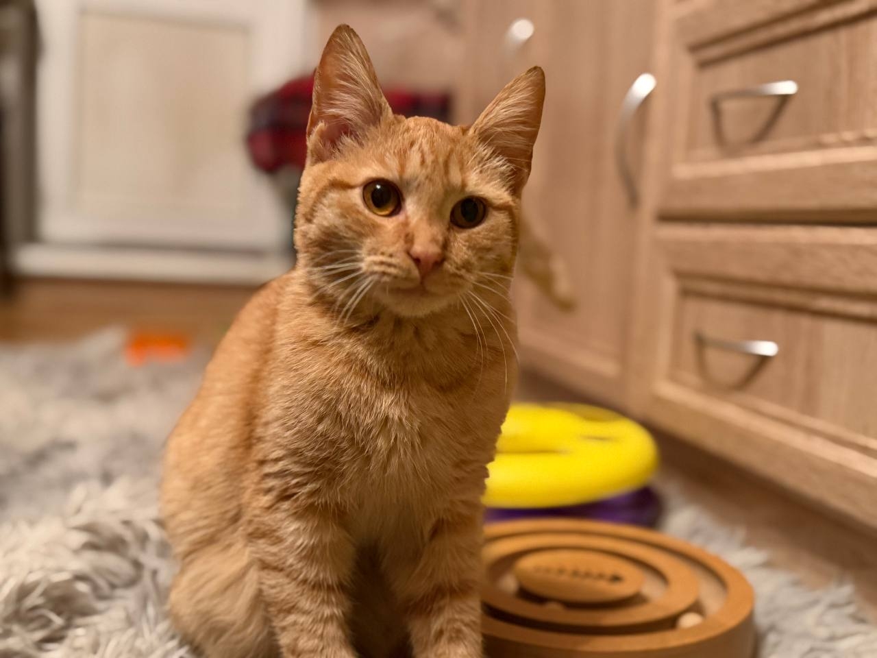 gxlPw4hMLcrrzkOx8FU87CUGBWEc-sbLc8cx1zDZOtBwxOK57QYKWVoF9igoHZyUpV9Lb-Ntw3zLfvaO0ohDdYmu