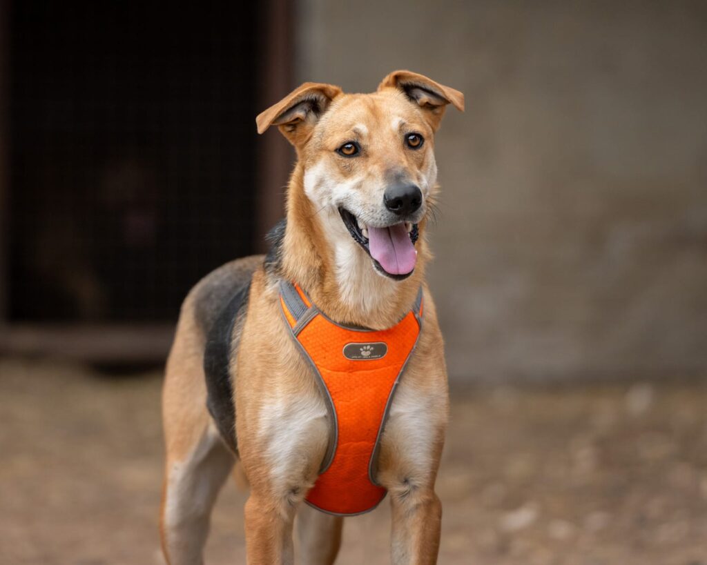 img-20251029-wa0005-1024×819-1