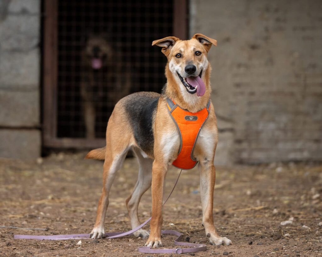 img-20251029-wa0007-1024×819-1