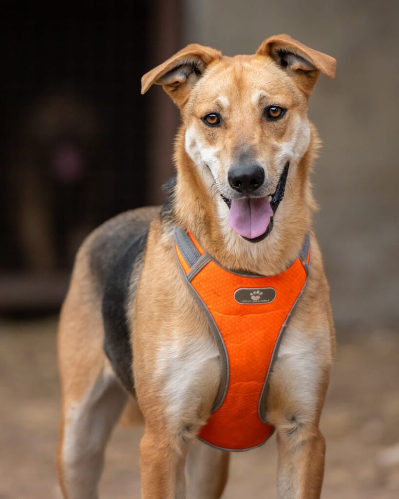 img-20251029-wa0009-819×1024-1