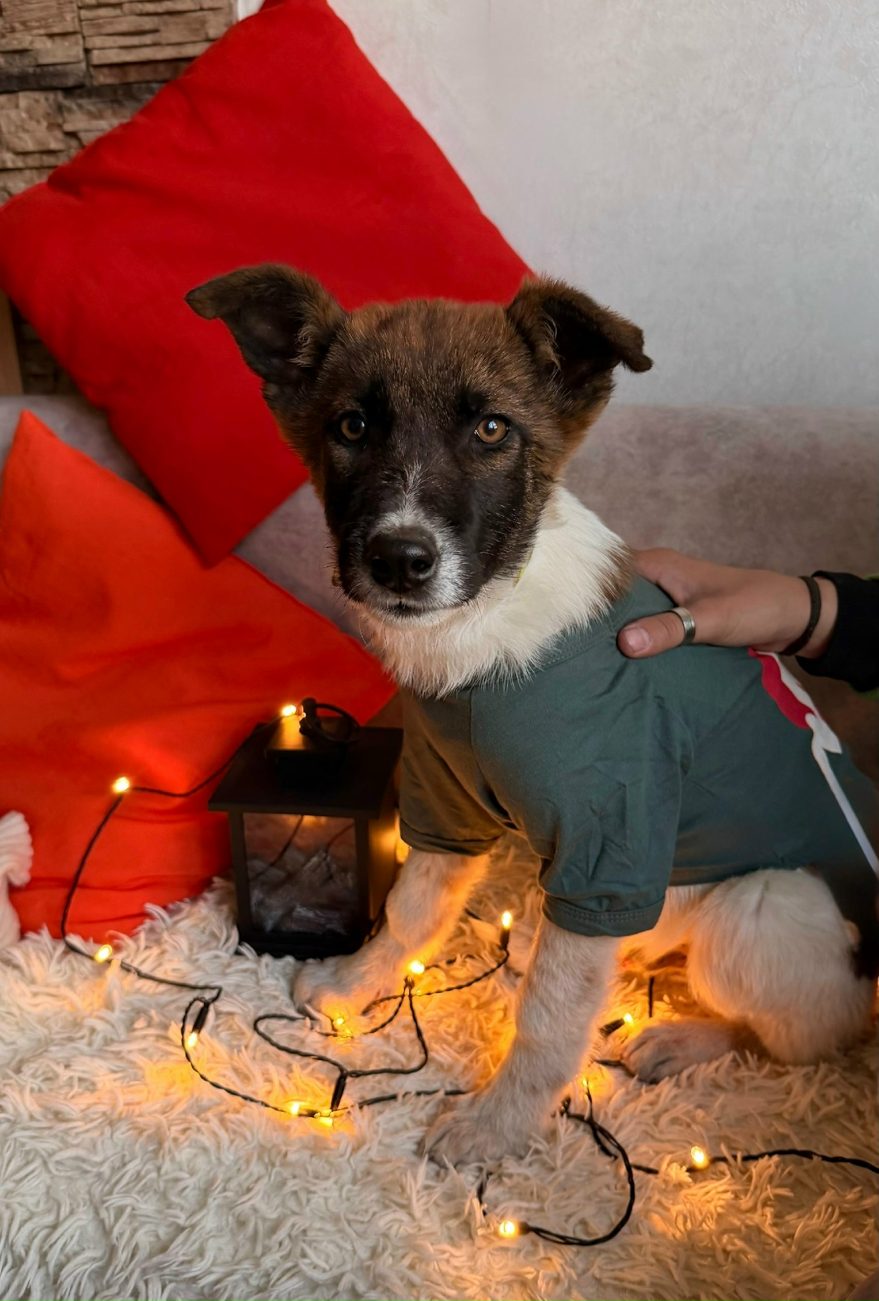 j66xc8KbZ1WvrnetuPtL_3PNIDNHUUdYs2Q4bCUNtLdClxA7saKNp7tkj7AvjHwZitV8ufpy6zaFABWXSW3dL35F