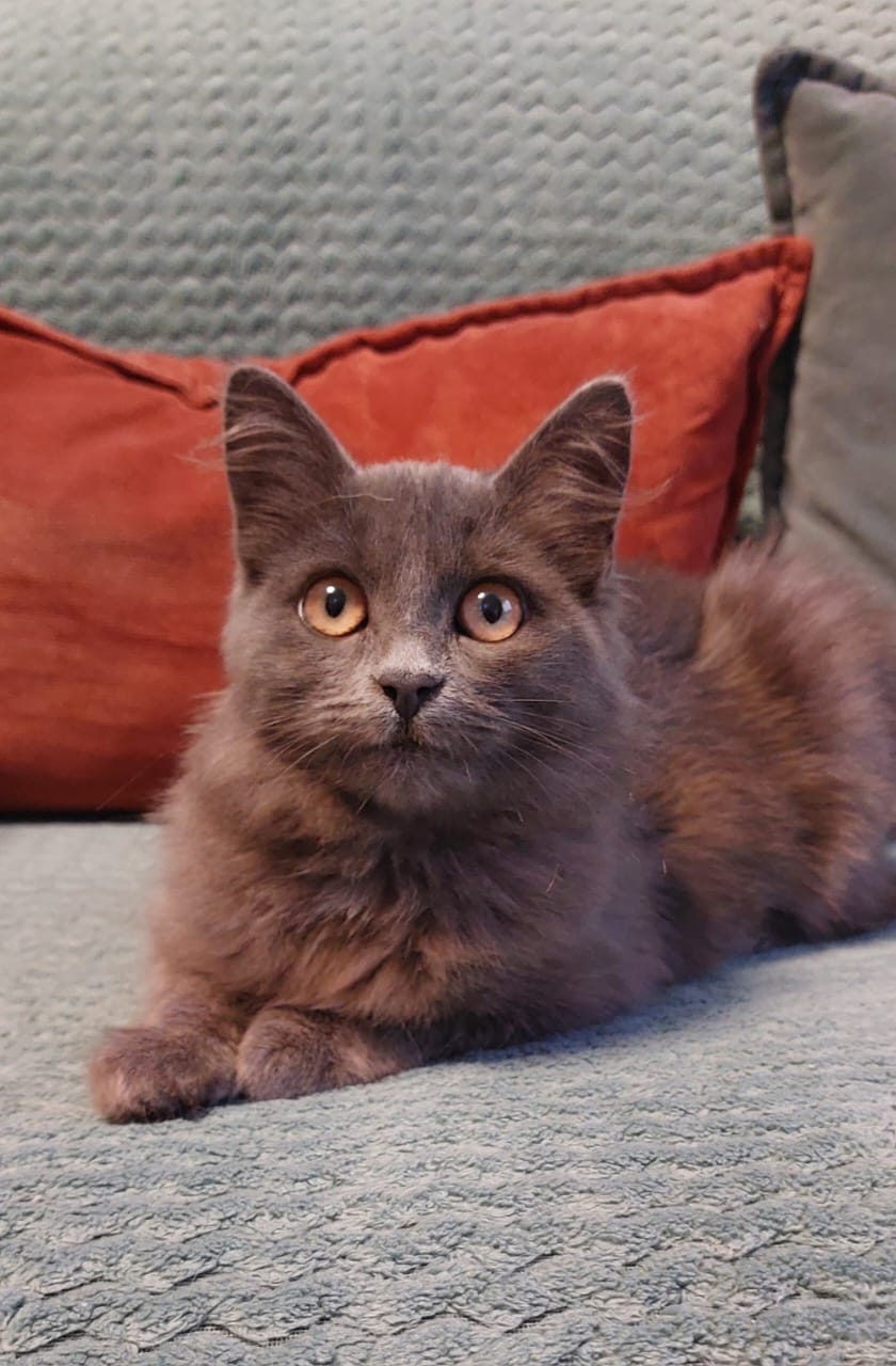 lJExGngbPuaJYCc3ZVqzXCM4BCQom_fn-Yy9-xBwLEMYTkojo9nWejS-oca-Js86VRXT2rVwZzykmBcSoFAg0RWO