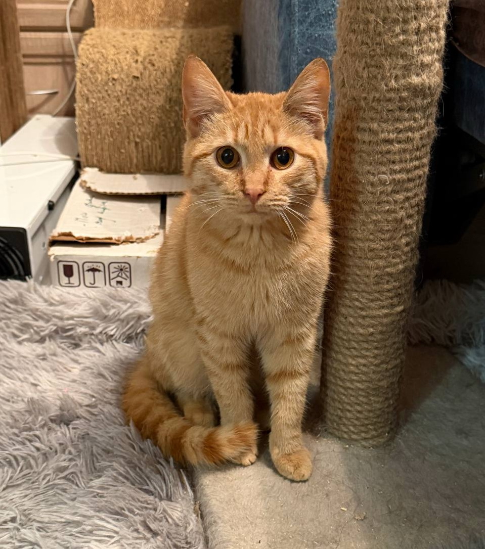 vDcgeW0RG-PNI6dW-xDO8oxNEr62jNDVAqYfnfCYT39dmj-PDYWd0B5ZZyY5xf4YHh_9owaxEtOcKrI6o_SmciWe