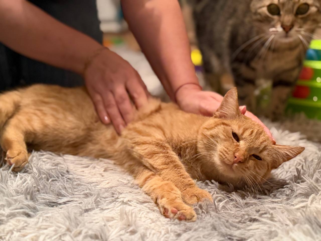 w7OnOrdMsrnnIYF68be1z6s6HcKblH6cXi1Xo5-5EyQwWY4DeQKpvryX2SuVs1ml8m2qjLIE3D4NJX_oPbxZT5jj