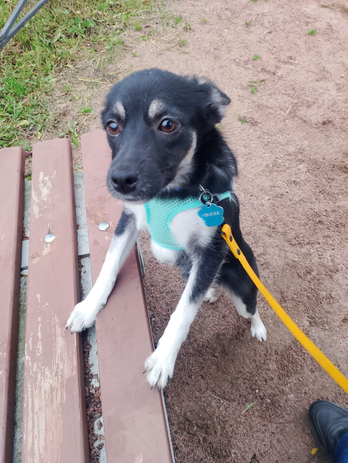 xBG84TLec8i4a4Oy5gYjY7U70XxrnDyJWTuKqnjhSNAuddRfBAtjAcsUdxFLJd8Ryvdoja4AdLt-Z6E87OCcA3gO