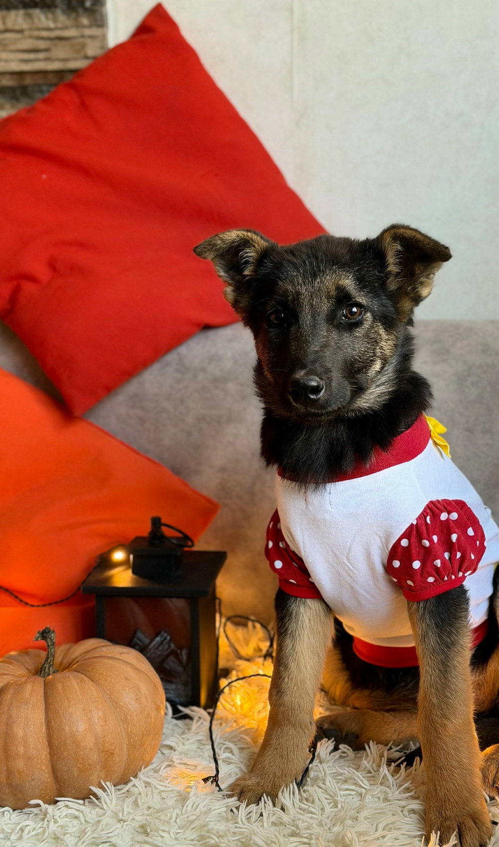 yywTc4fuTtmpB5Bh7AIkQx1LWUMbwpcICY3Mpv87bxwRpl7SDF0j0ZemSBTXaHjz10SqkrTuGBli2ZLkCX3-2QrY