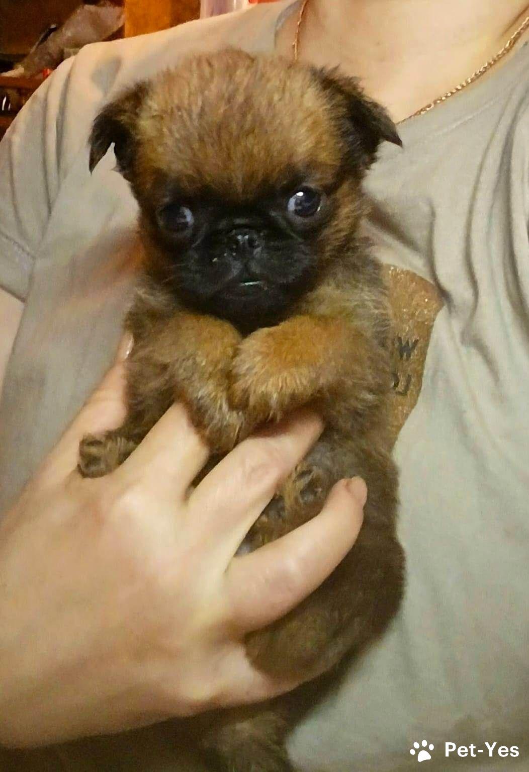 019af789-f66b-717c-95de-d8288847c075