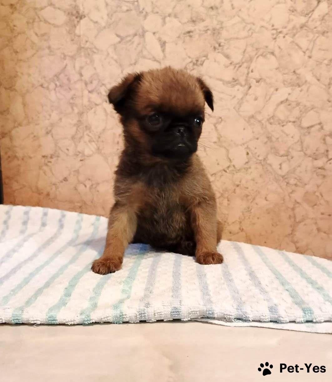 019af78a-2e26-7a35-8326-27025b0d9ab7