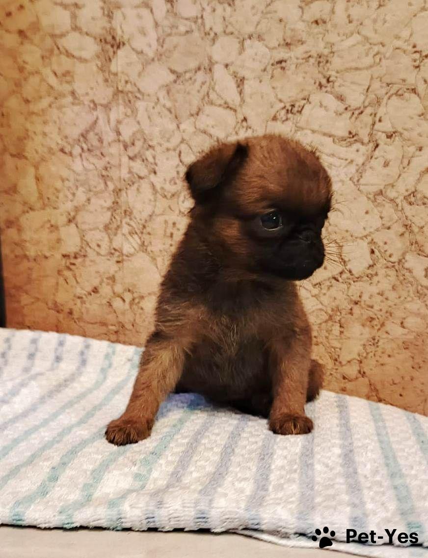 019af78c-46e2-7b75-b40d-1b2587b4a33c