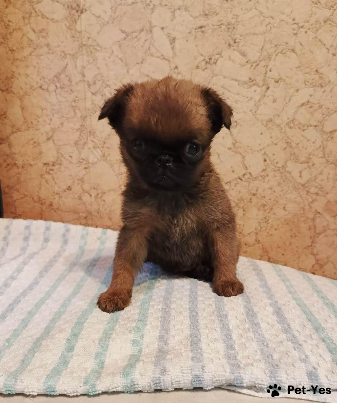 019af78c-e073-7243-ac27-a1cf1e01994a