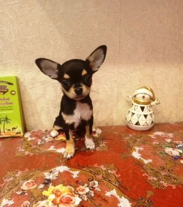 1.K0Lcgba4h6vqKEWuhvlmd5wgha1iIAWjqiWFqWwoj6Fq