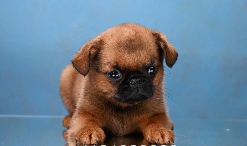 1766073327425.Screenshot_20251218-155204@614170485-1