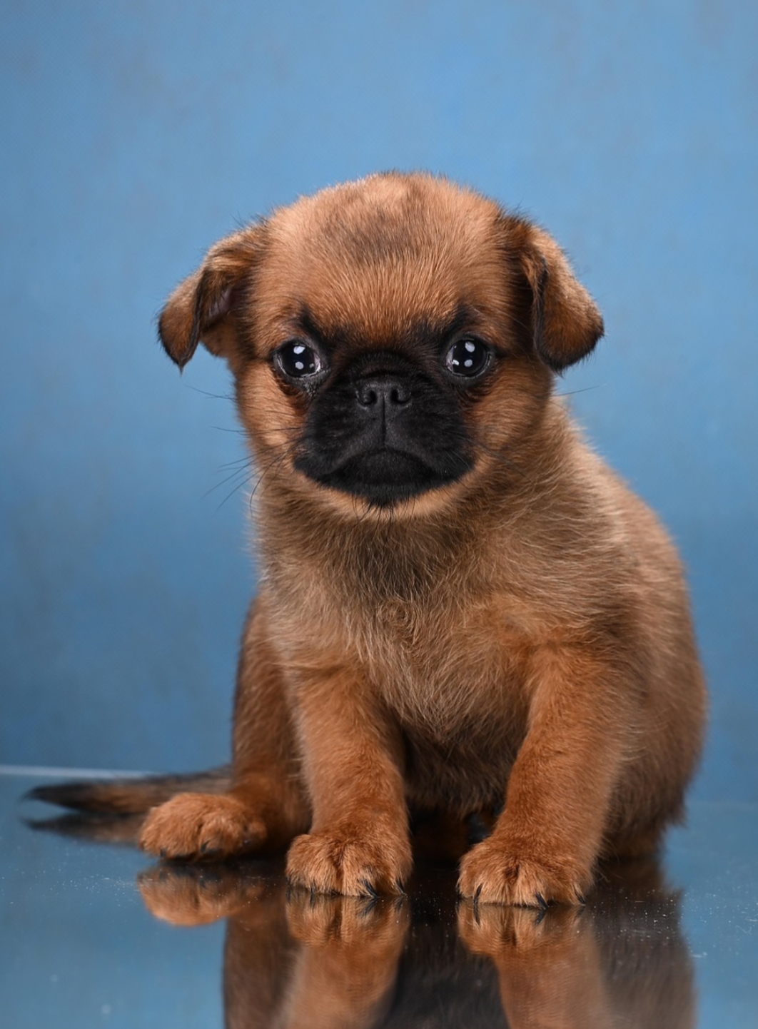 1766073400673.Screenshot_20251218-155231@1675729872