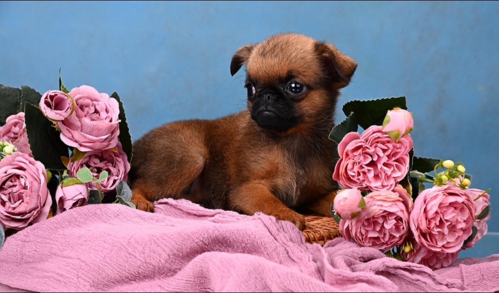 1766073679039.Screenshot_20251218-155418@-2007766149