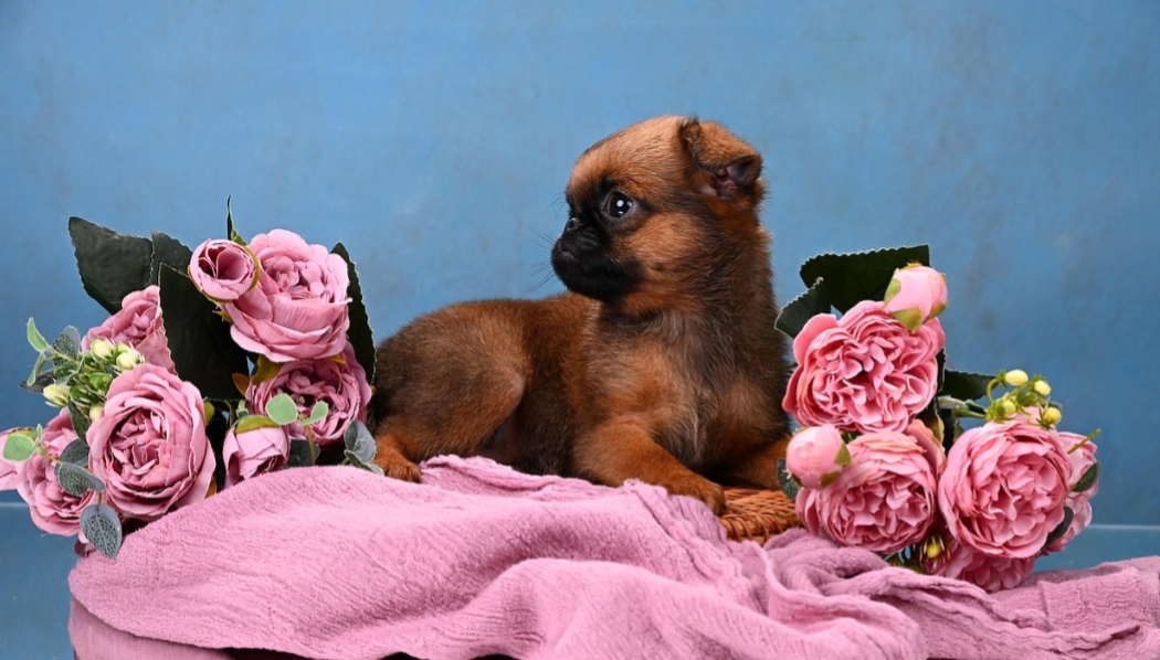 1766073694083.Screenshot_20251218-155422@-1274276392