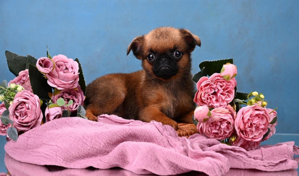 1766073708469.Screenshot_20251218-155426@1996972734