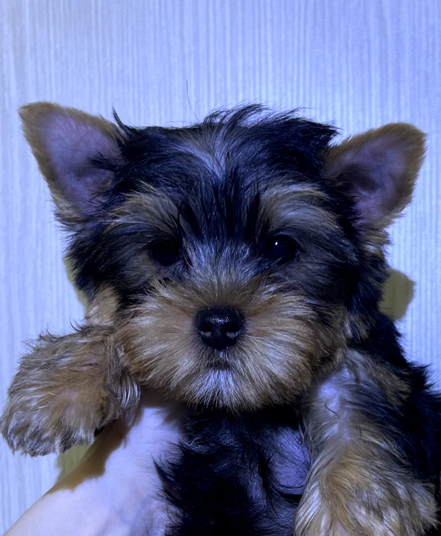 IMG_20251128_231304_983