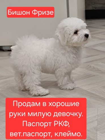 IMG_20251203_201313_938