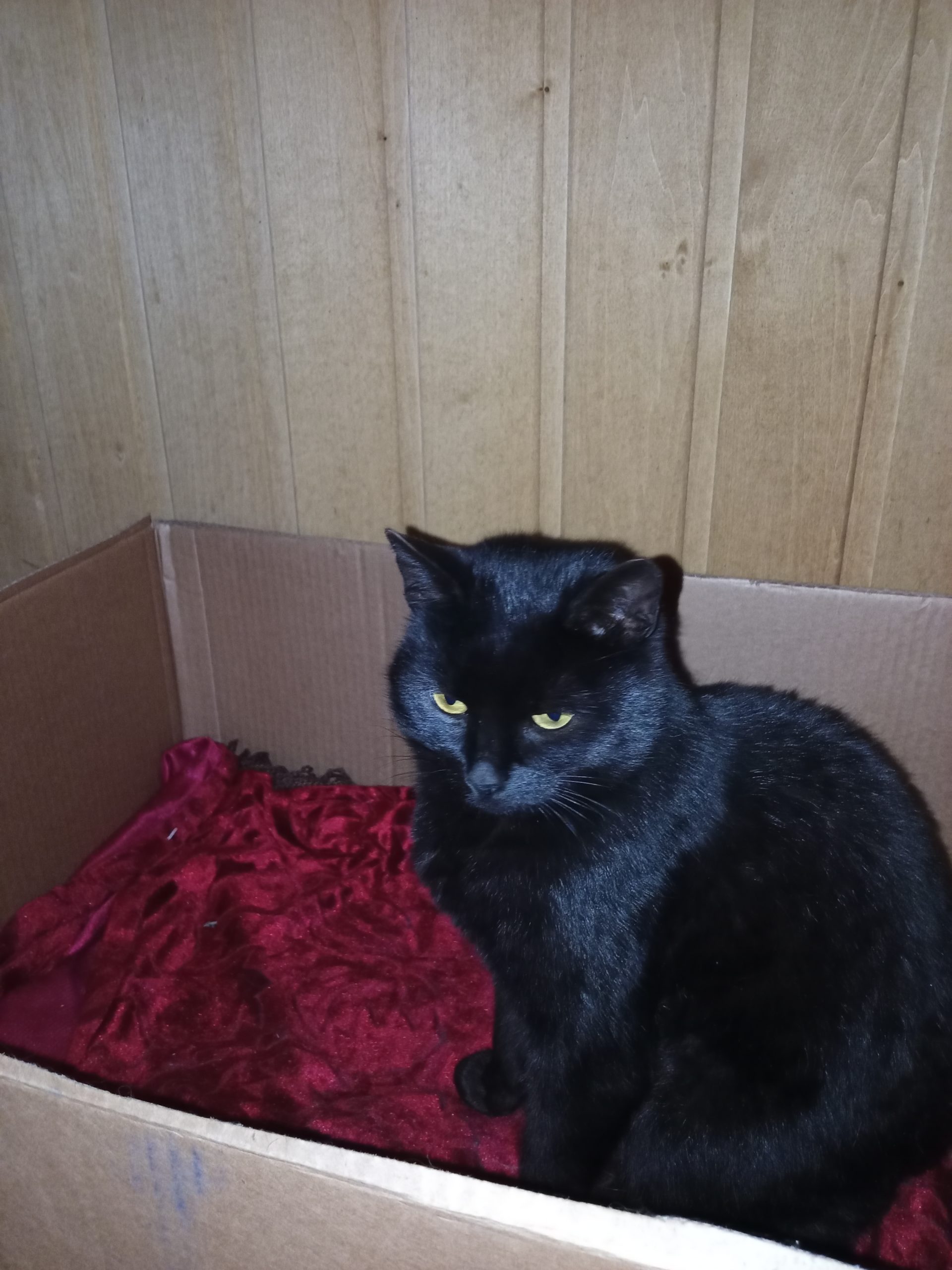 IMG_20251224_190240_206