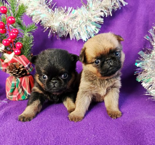 IMG_20251230_120817_604@-24937495