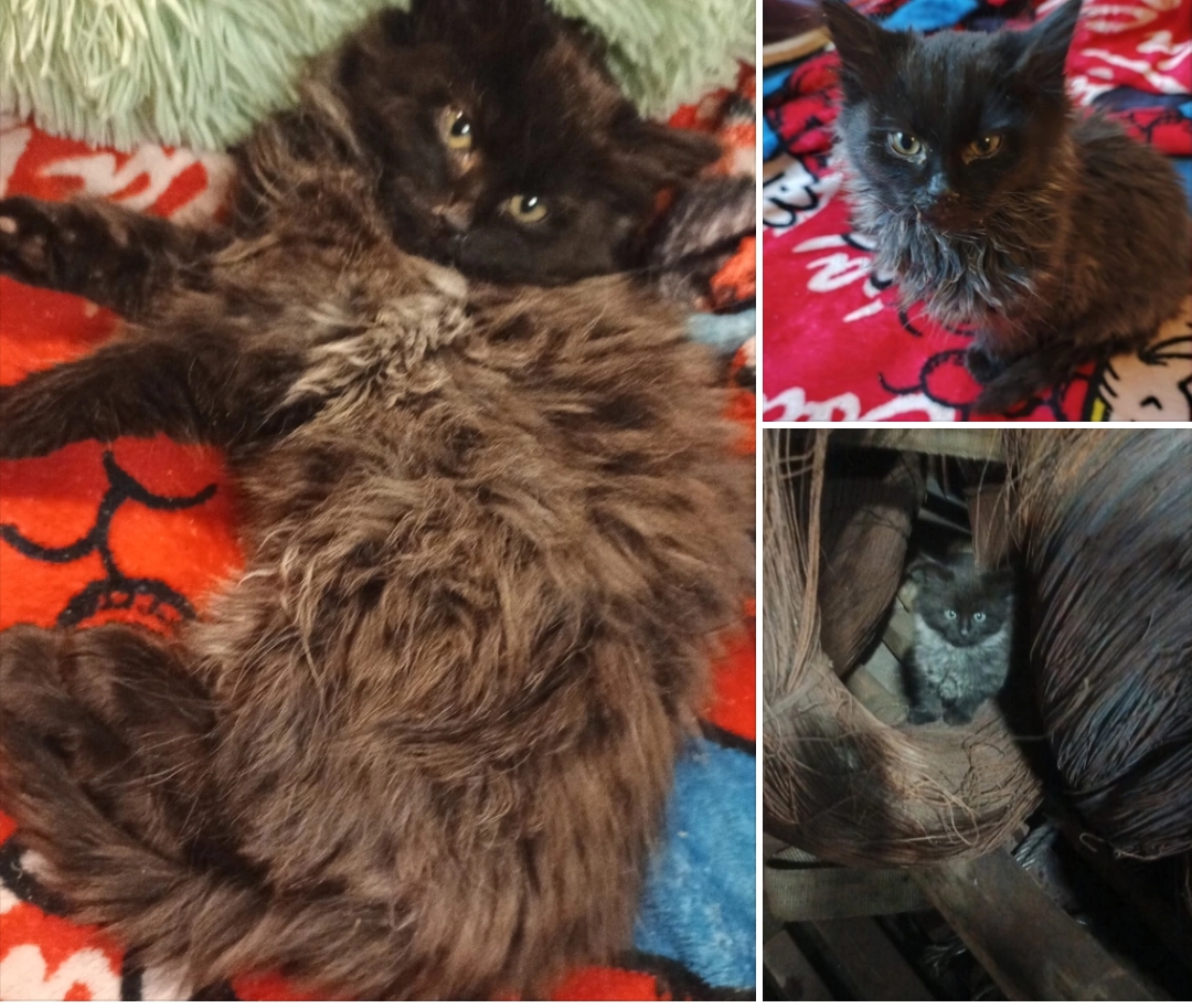 Screenshot_20251206-230217