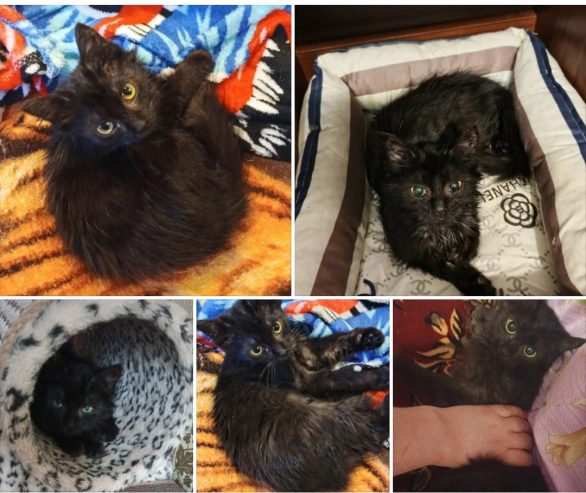 Screenshot_20251209-105904