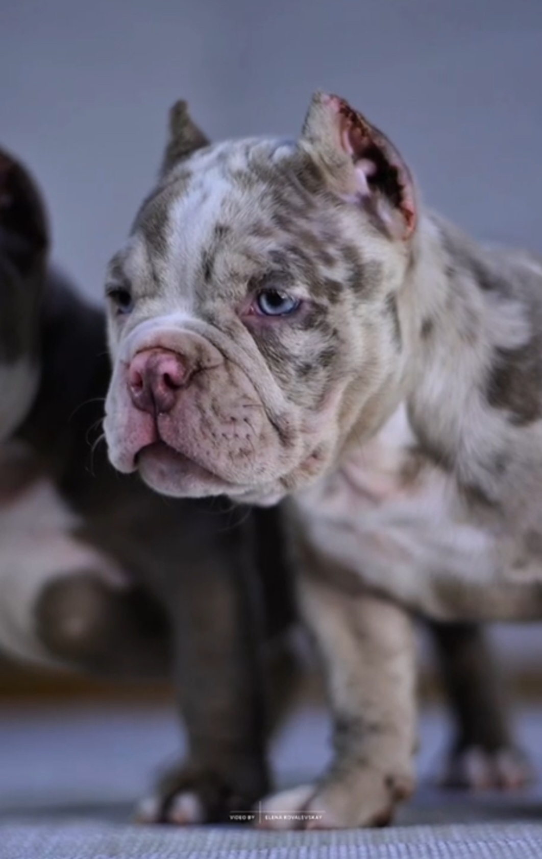 Screenshot_20251212_102543_Telegram