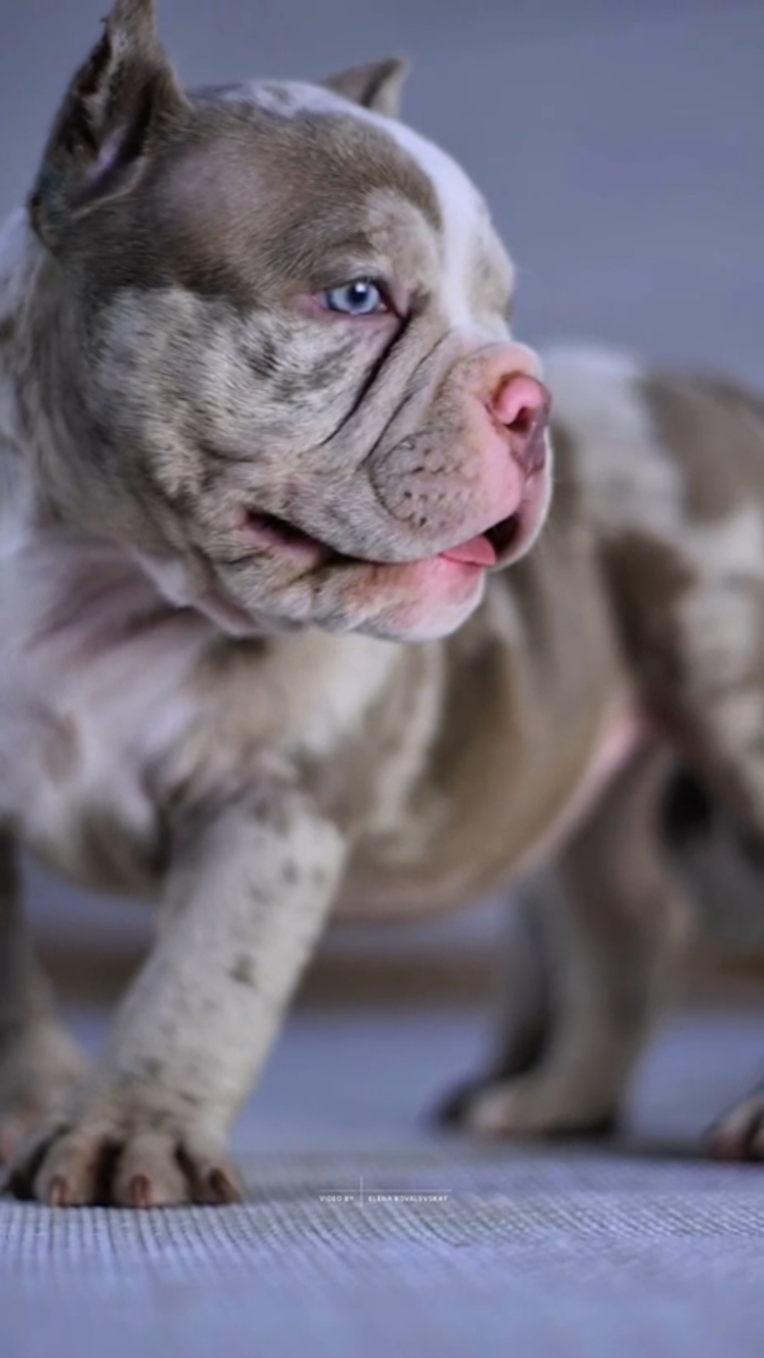 Screenshot_20251212_102957_Telegram