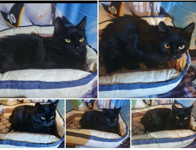 Screenshot_20251214-040854