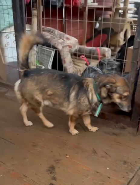 document_5348572058458558184-0-00-03-733