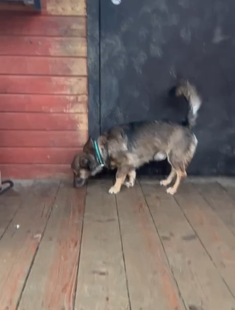 document_5348572058458558185-0-00-01-964