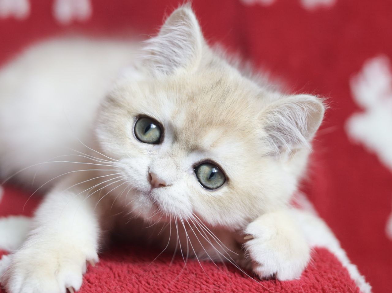 photo_2025-12-03_11-51-42