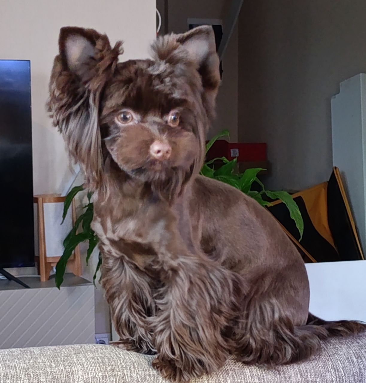 photo_2025-12-23_17-32-00