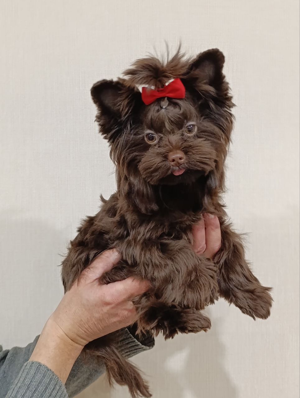 photo_2025-12-23_17-32-17