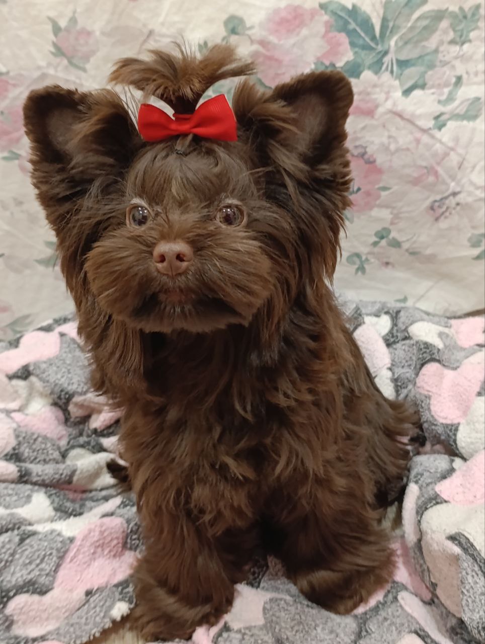 photo_2025-12-23_17-33-09