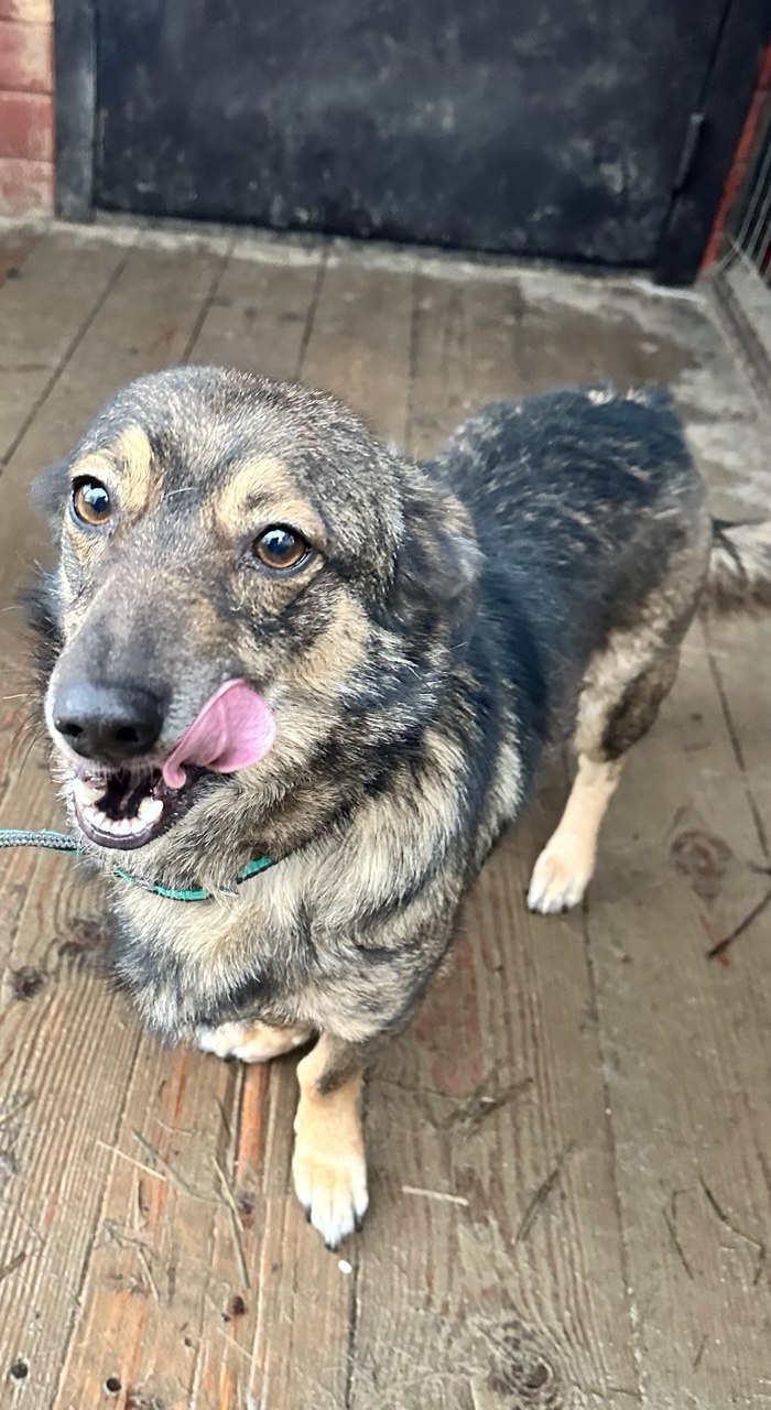 photo_5348572058918522402_y