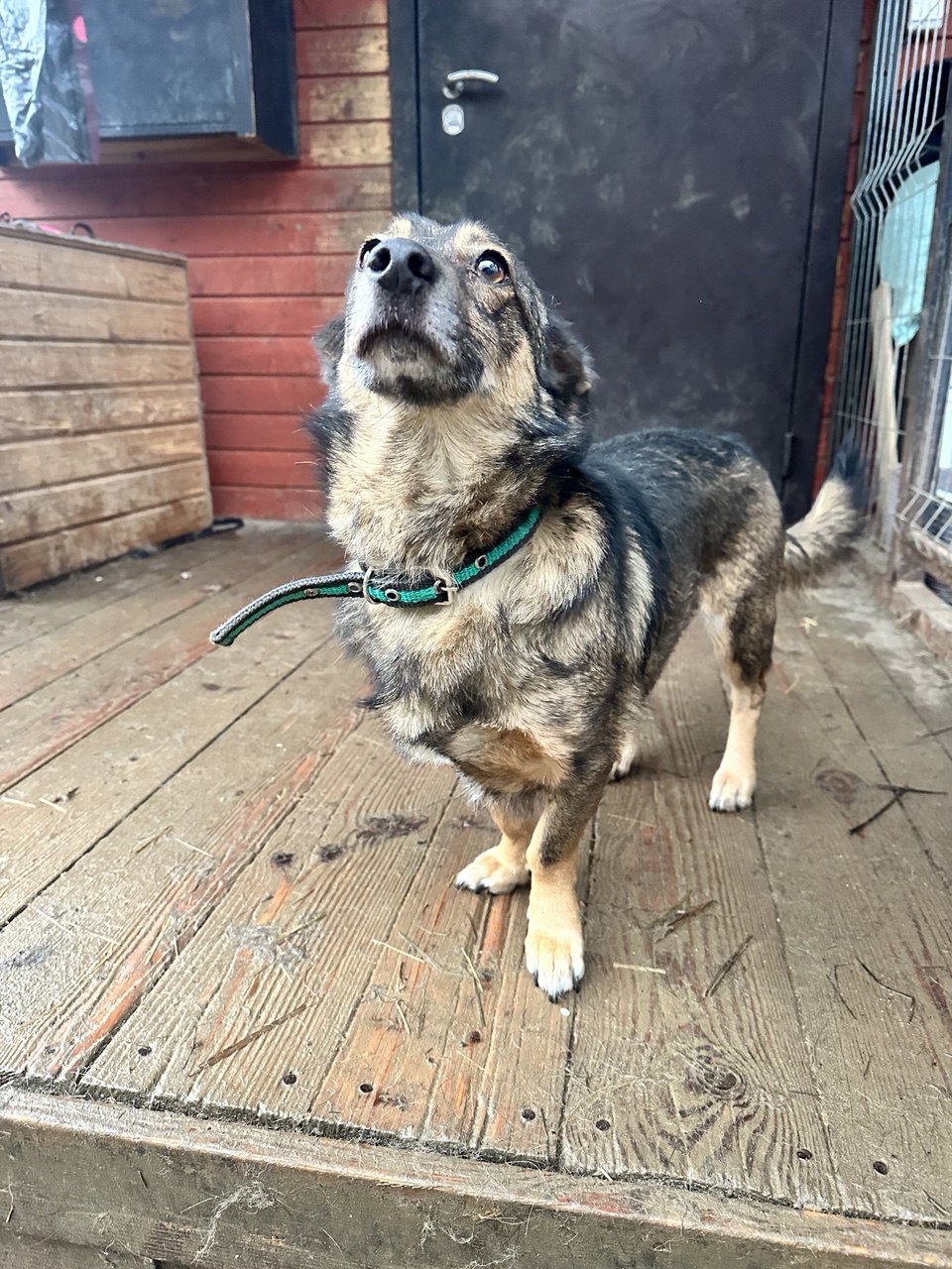 photo_5348572058918522406_y