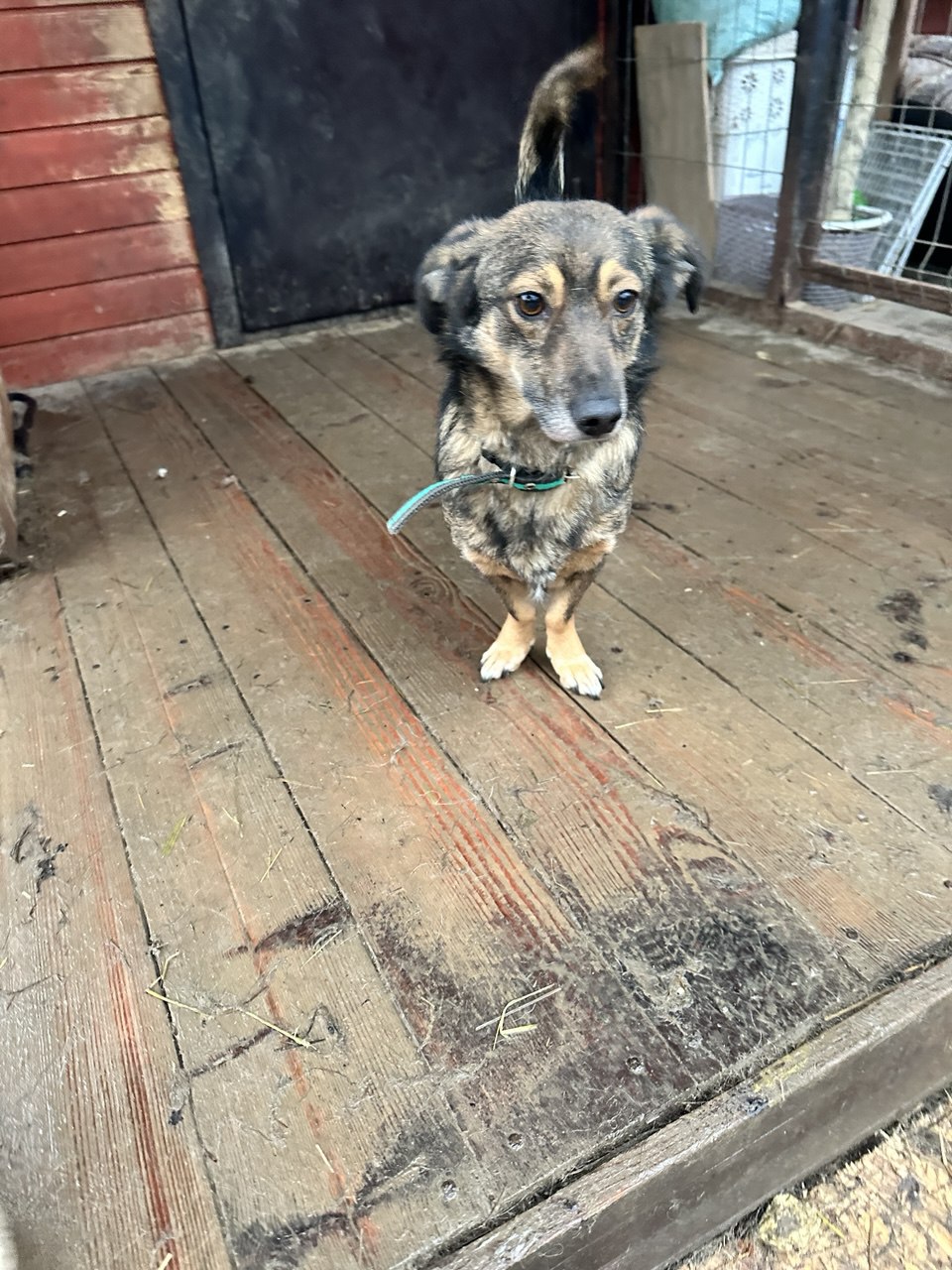 photo_5348572058918522417_y