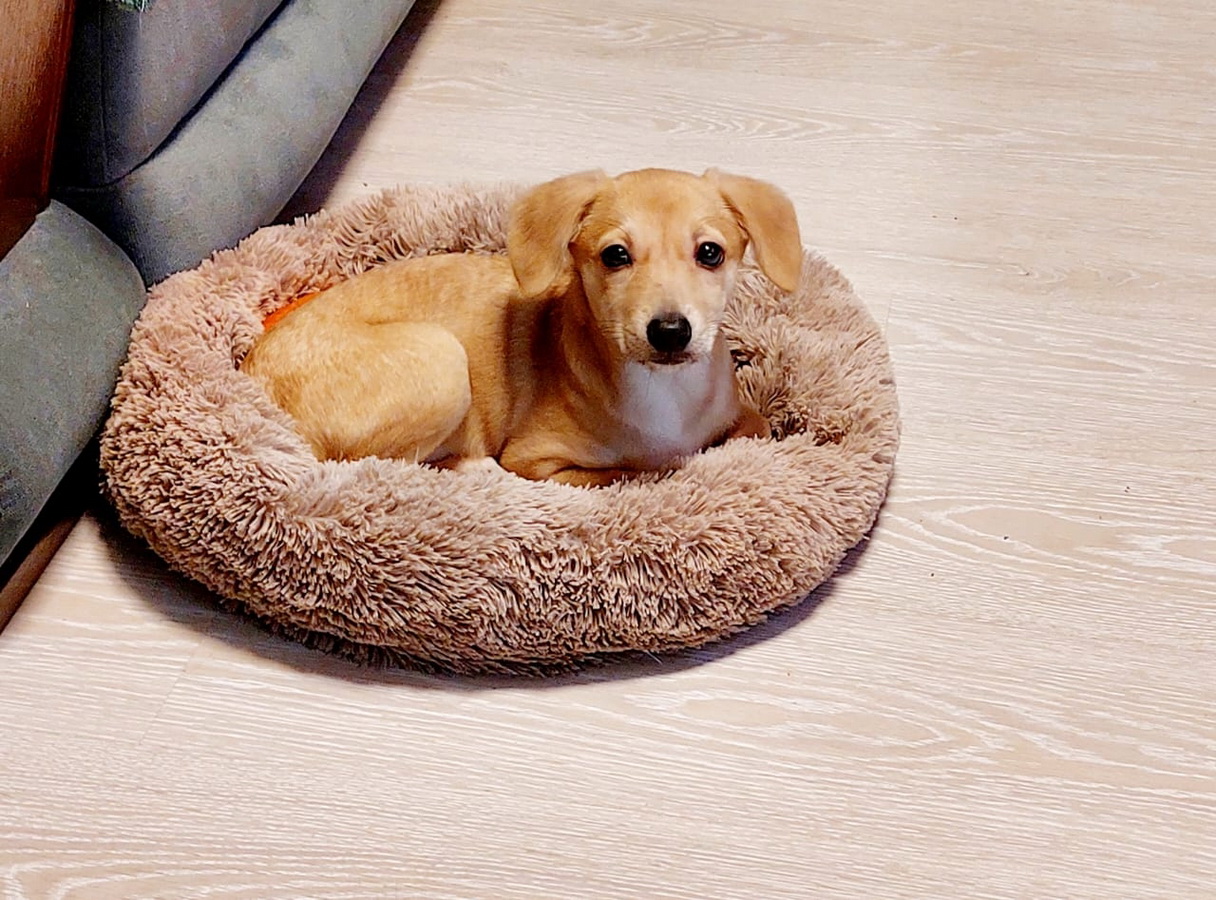 0TKMcjiyR8X6e6lMsjiM8jN4n3oxNMuKn8nu2ZRSIu3ahcyHcNqUx8G9OZycS6qPdjltmma6Ib7FVBU0TZXqsXS_