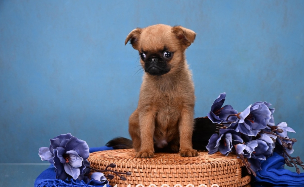 1766074068510.Screenshot_20251218-155554@1079900271