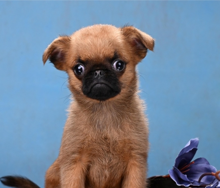 1766074081900.Screenshot_20251218-155559@-807602970.1-1