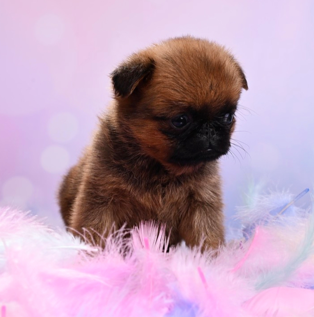 1767700317286.1767698065333.Screenshot_20260105-150919@-395371136