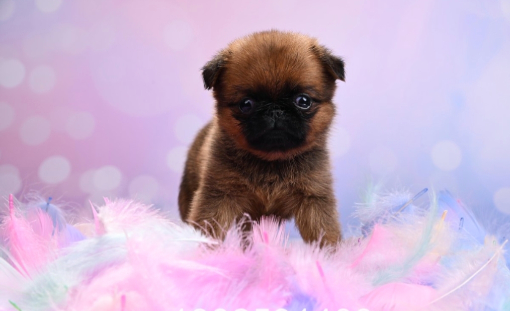 1767700351731.1767698084889.Screenshot_20260105-150927@1129192037