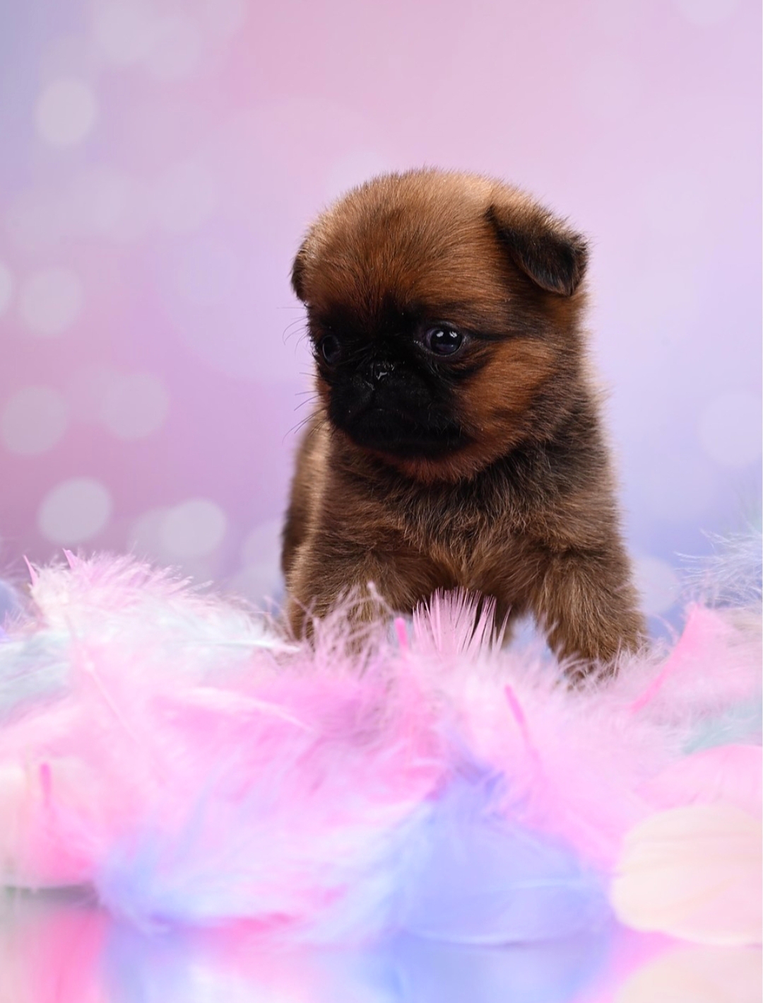 1767700385255.1767698097160.Screenshot_20260105-150934@-10304395