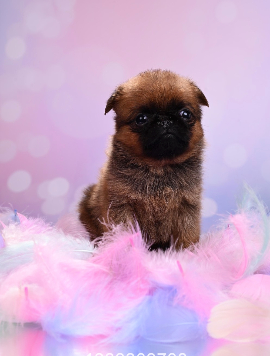 1767700422116.1767698110382.Screenshot_20260105-150939@1819429370