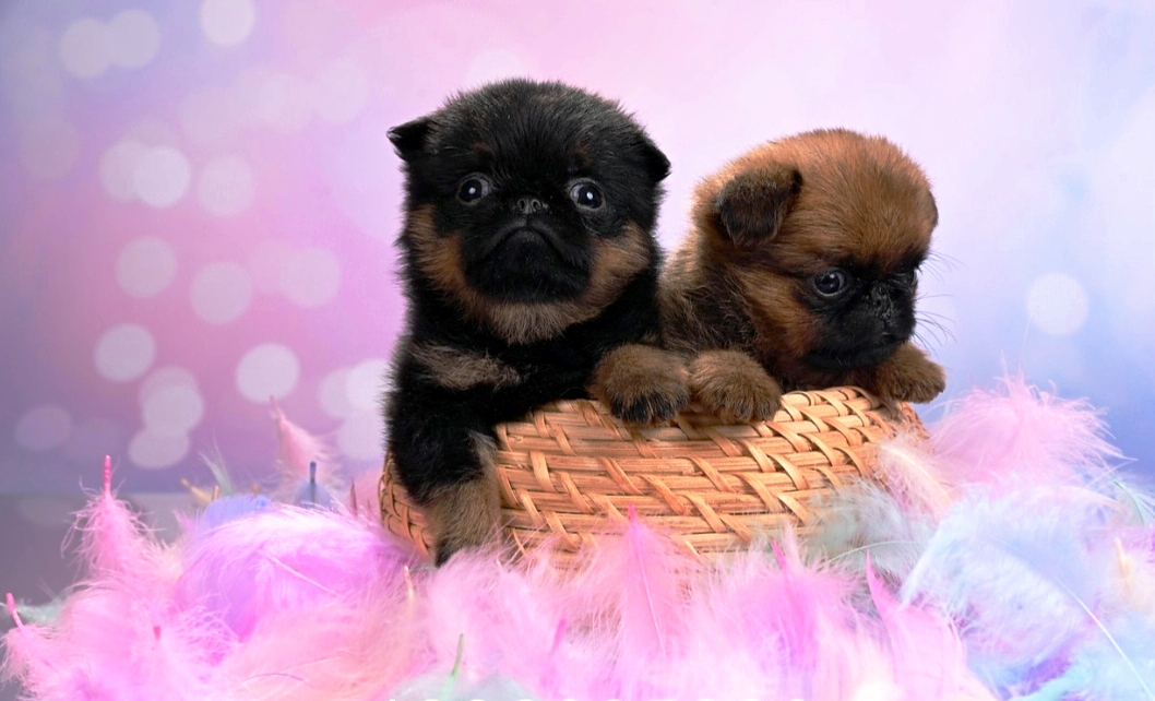 1767700678275.1767698219538.Screenshot_20260105-151007@1480697175-1