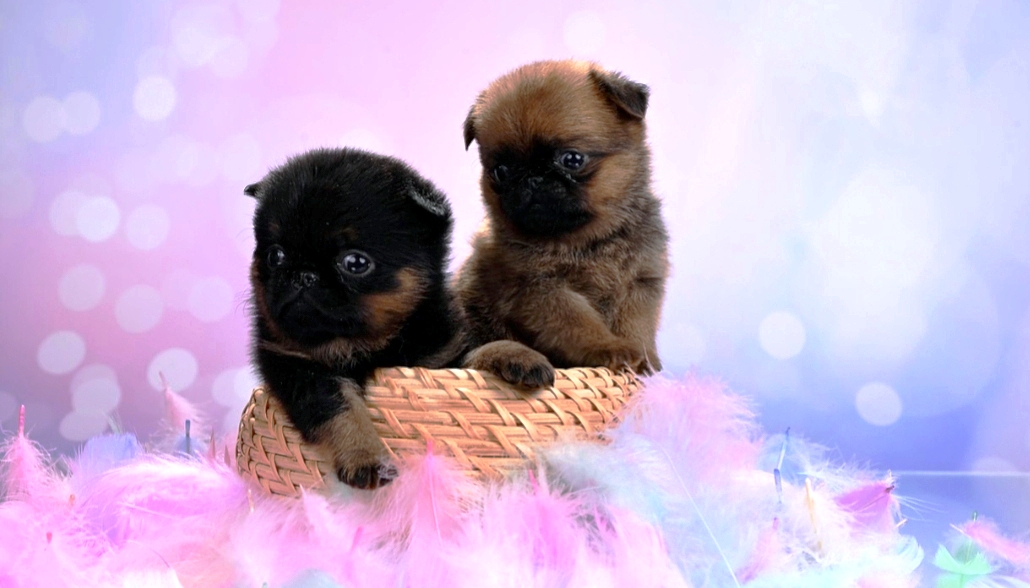 1767700812909.1767698288184.Screenshot_20260105-151021@-1507622140-1