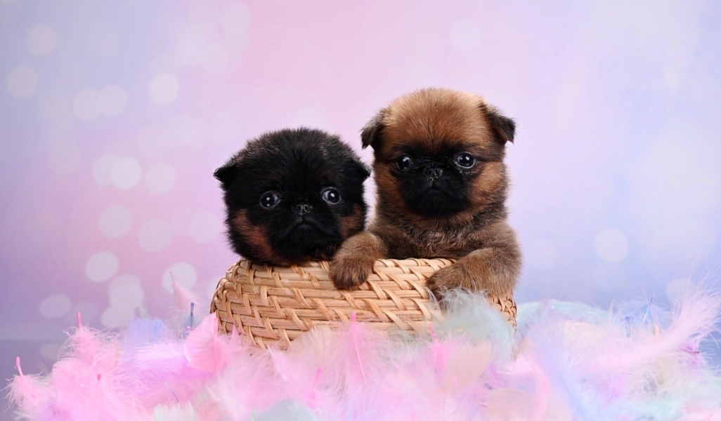 1767700982663.1767698389620.Screenshot_20260105-151046@-603848469-1